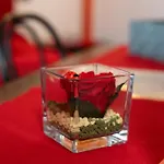 Bed & Breakfast La Casa Del Grillo 1