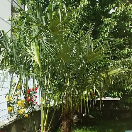 La Casa Del Grillo 1 Bed & Breakfast 3*