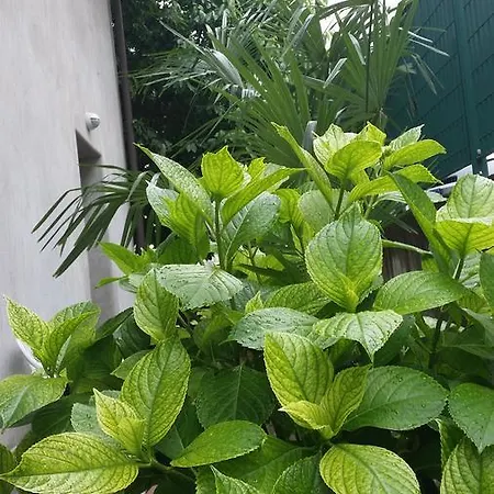 La Casa Del Grillo 1 Couette-café 3*