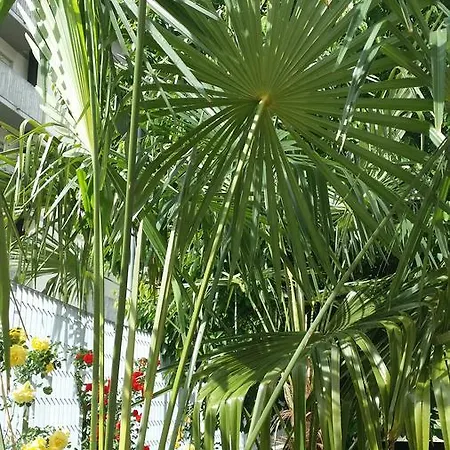 La Casa Del Grillo 1 Aoste