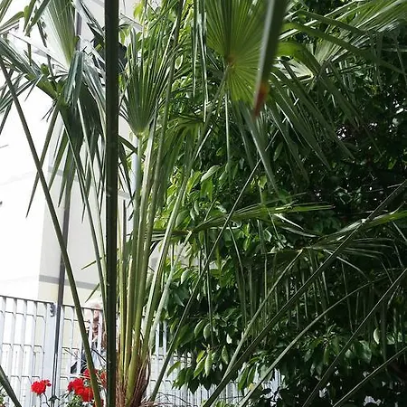 Oda ve Kahvaltı La Casa Del Grillo 1 Aosta