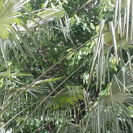 Oda ve Kahvaltı La Casa Del Grillo 1