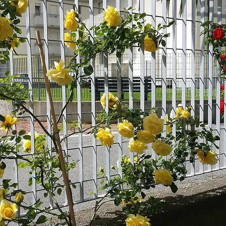 Oda ve Kahvaltı La Casa Del Grillo 1 3*