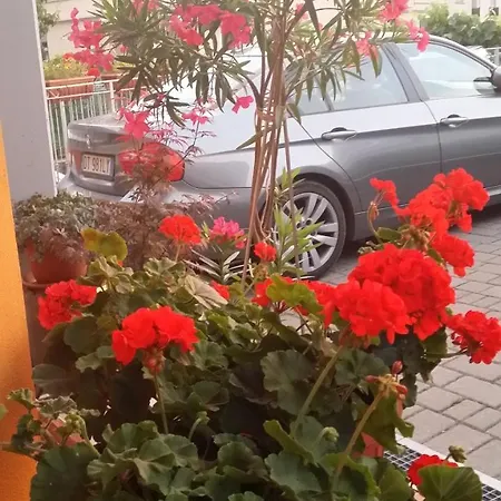 Bed & Breakfast La Casa Del Grillo 1 Aosta