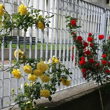 Bed & Breakfast La Casa Del Grillo 1