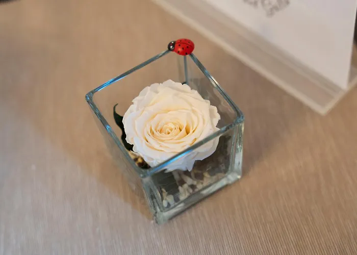 La Casa Del Grillo 1 Aosta