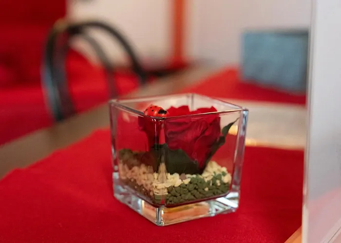 Bed & Breakfast La Casa Del Grillo 1